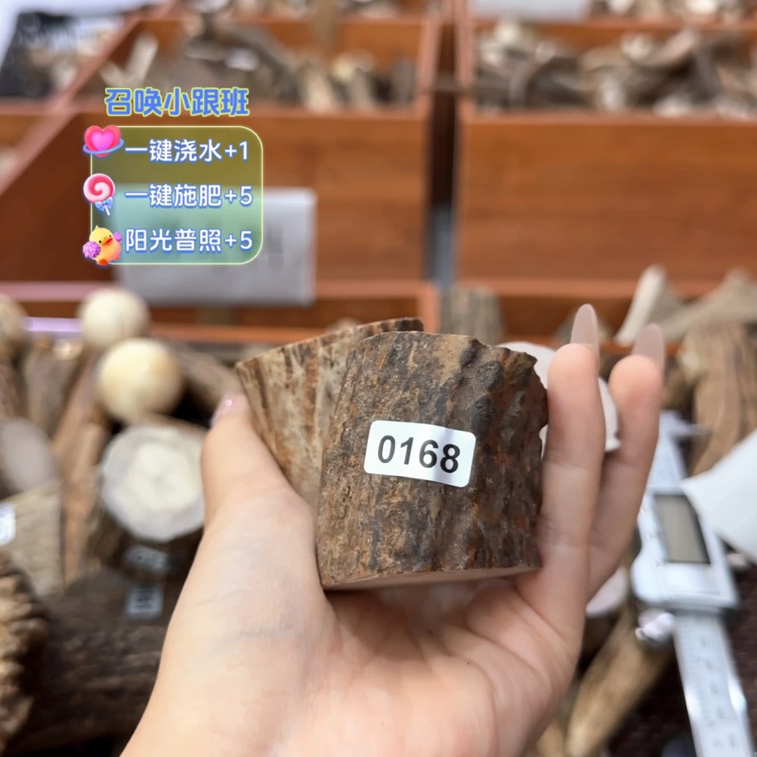 鹿骨其他0168三个段