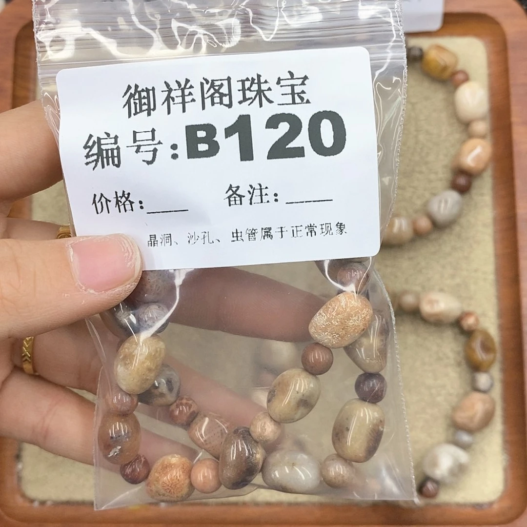 硅化珊瑚（珊瑚玉）颈饰未镶嵌鲸*