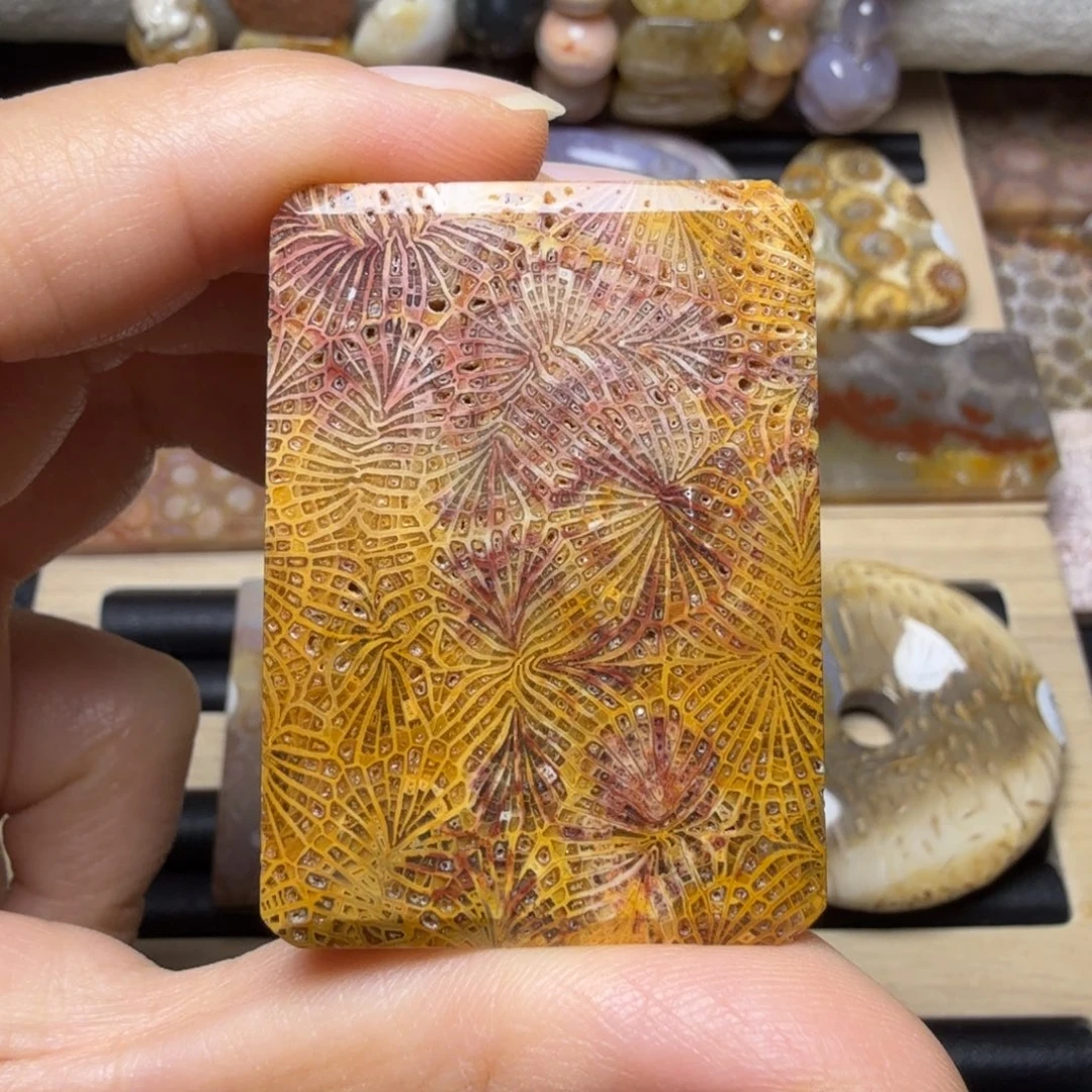 硅化木未镶嵌闪闪的紫红金黄 晶骼 凤尾