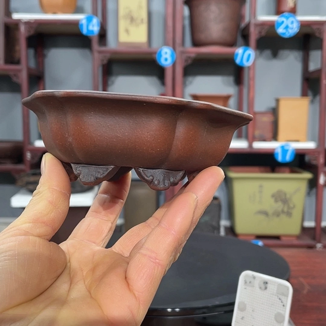 【闪购商品】紫砂花盆紫砂花盆