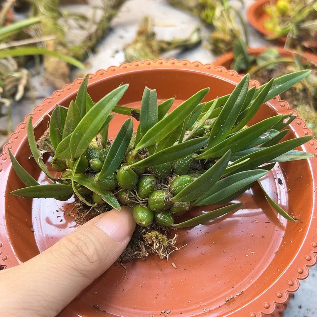 浪****?12。。。。。。。。。。。。。。