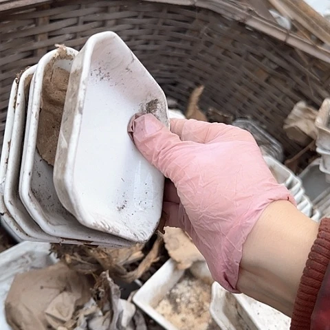 瓷片国营厂库存微瑕4个