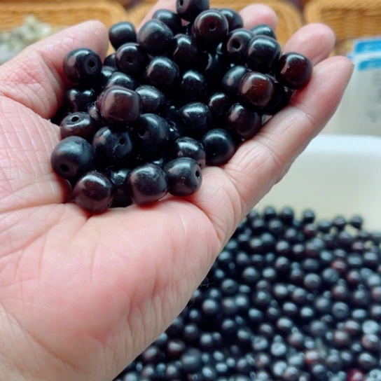 吊坠白玉菩提瑕疵11黑加仑桶珠150颗