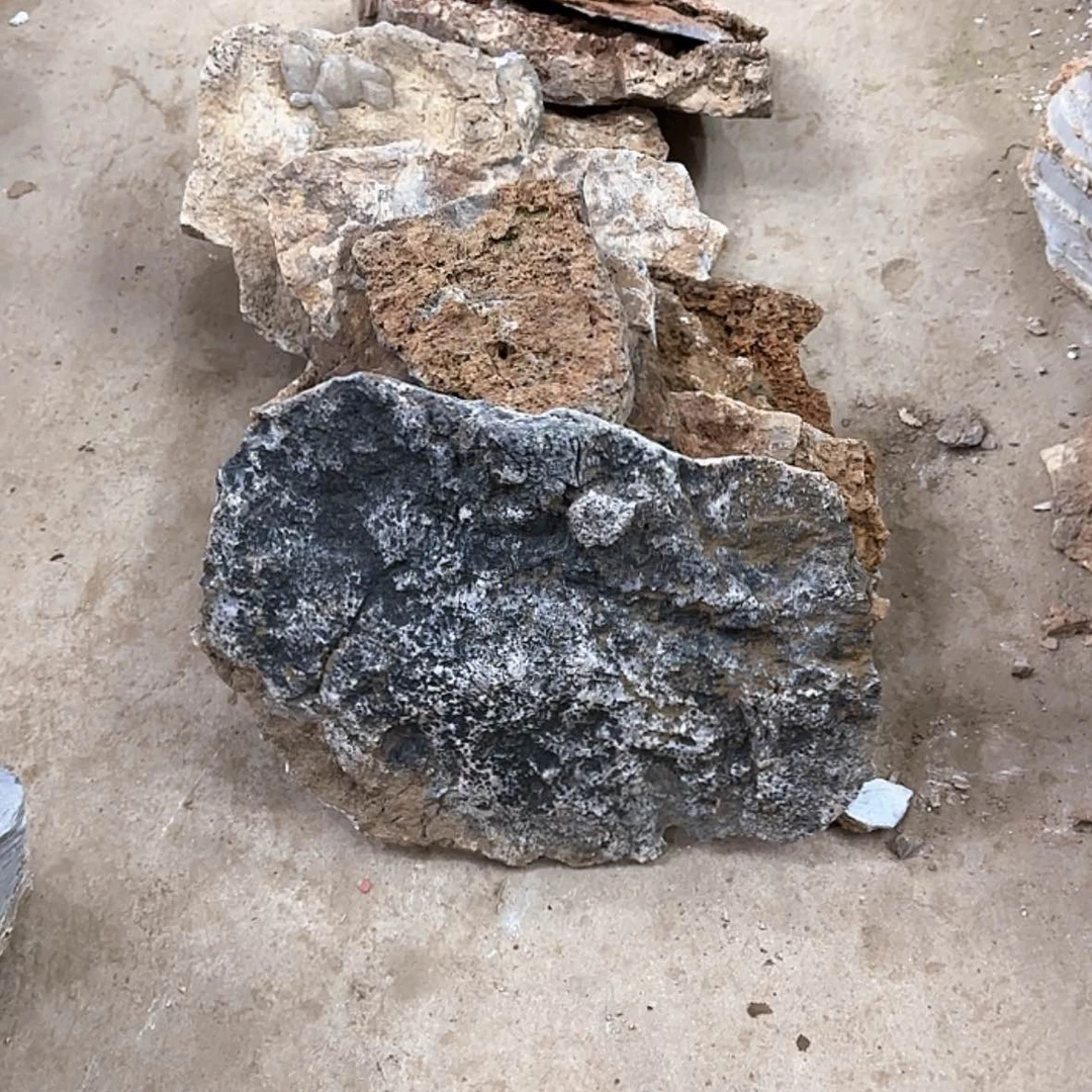 【闪购商品】香榧木丷*出来吃了饭再回去也没事就