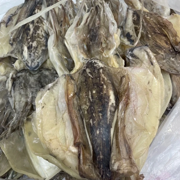 莆田本地墨鱼干大