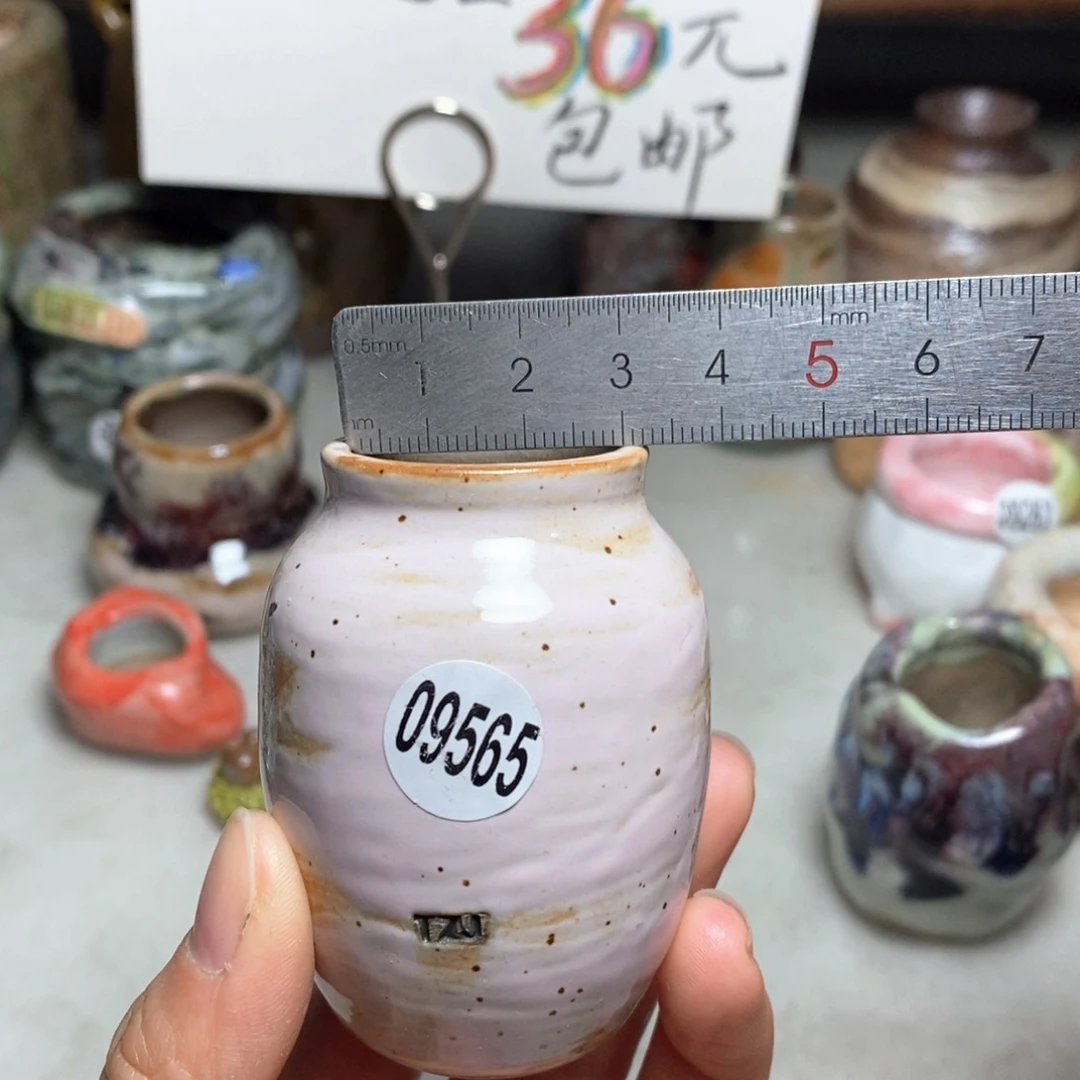 花盆拍5送一个小礼物