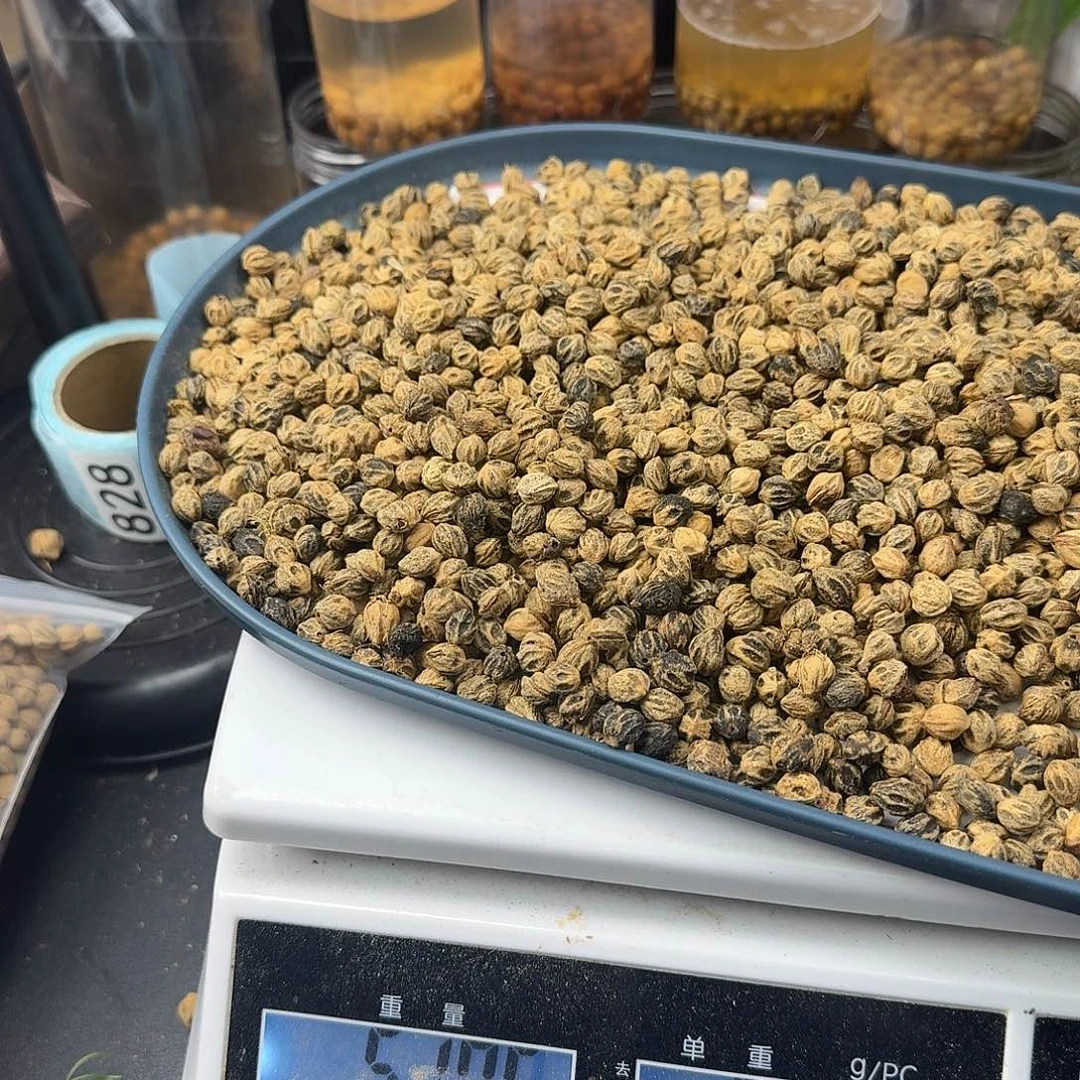 飞***宇柏香籽/百香籽吊坠500克CW07