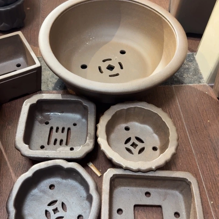 海***蒂紫砂花盆呜呜呜好可爱