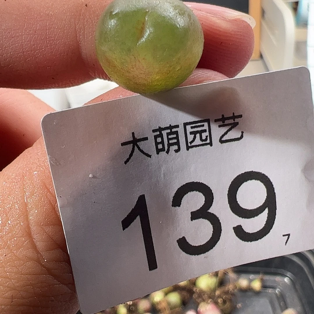 0000139 一物一拍……