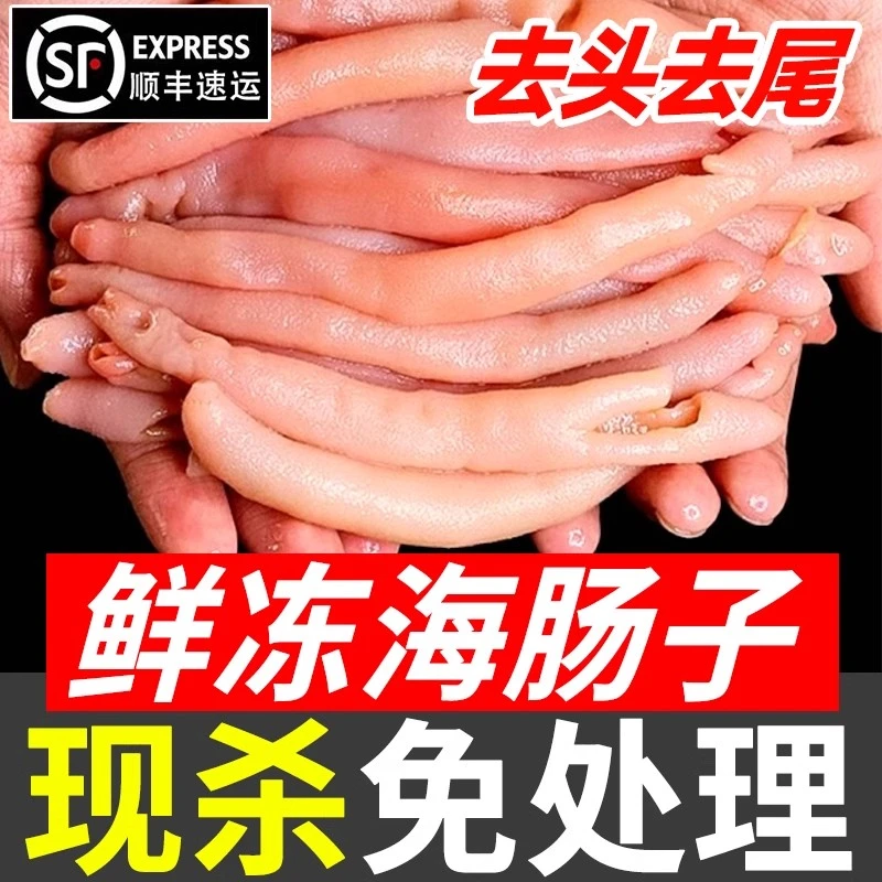 新鲜海肠鲜活去内脏速冻海肠皮沙虫海捕大海肠捞饭海鲜水产商用