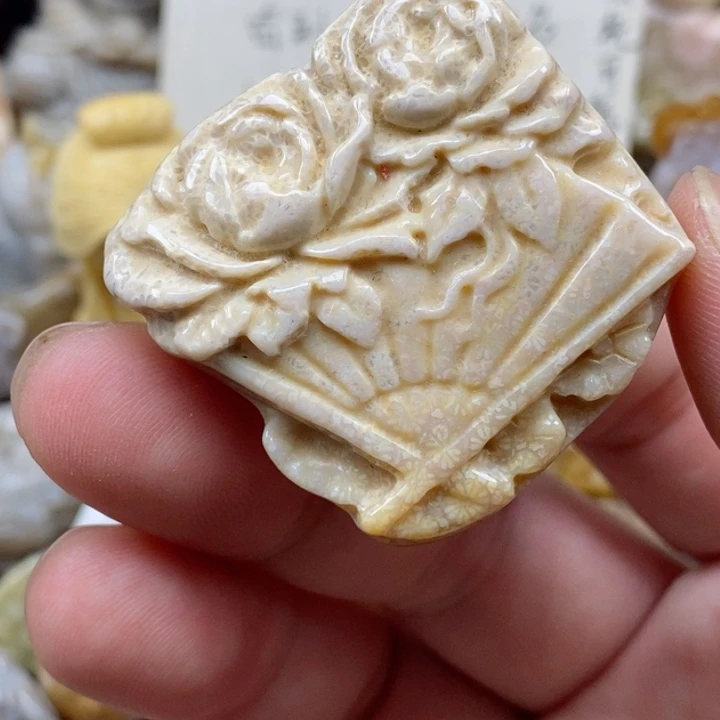 颈饰未镶嵌硅化珊瑚（珊瑚玉）