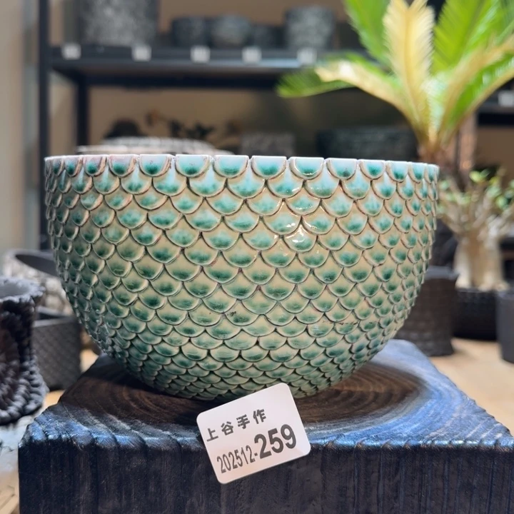 满工龙鳞内口18高11.5