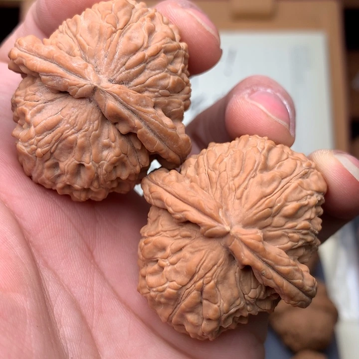 桃核把件鸿****队40三角白狮子