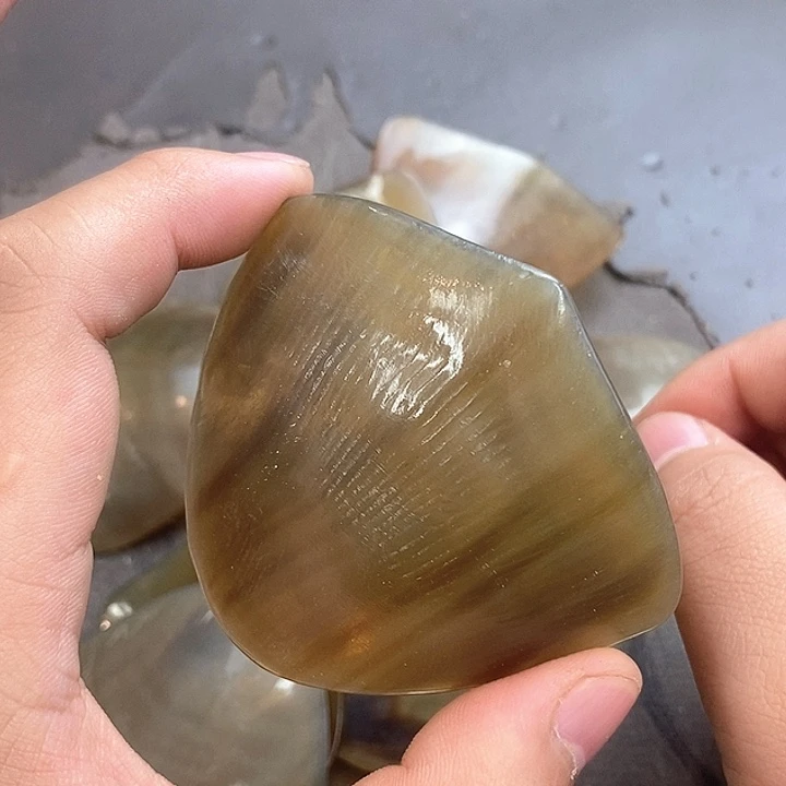 大果紫檀（缅甸花梨）436