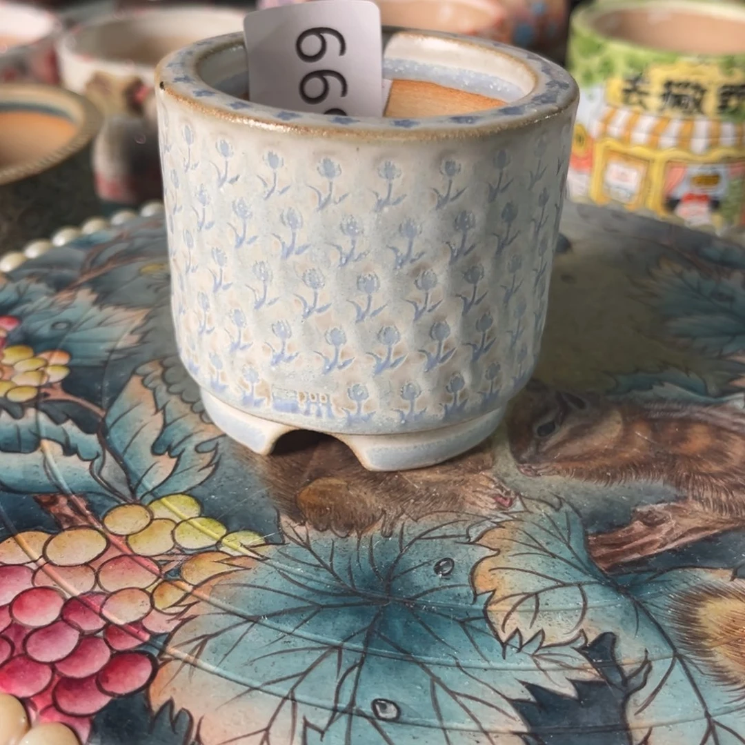 沙***小699多肉花盆   1个