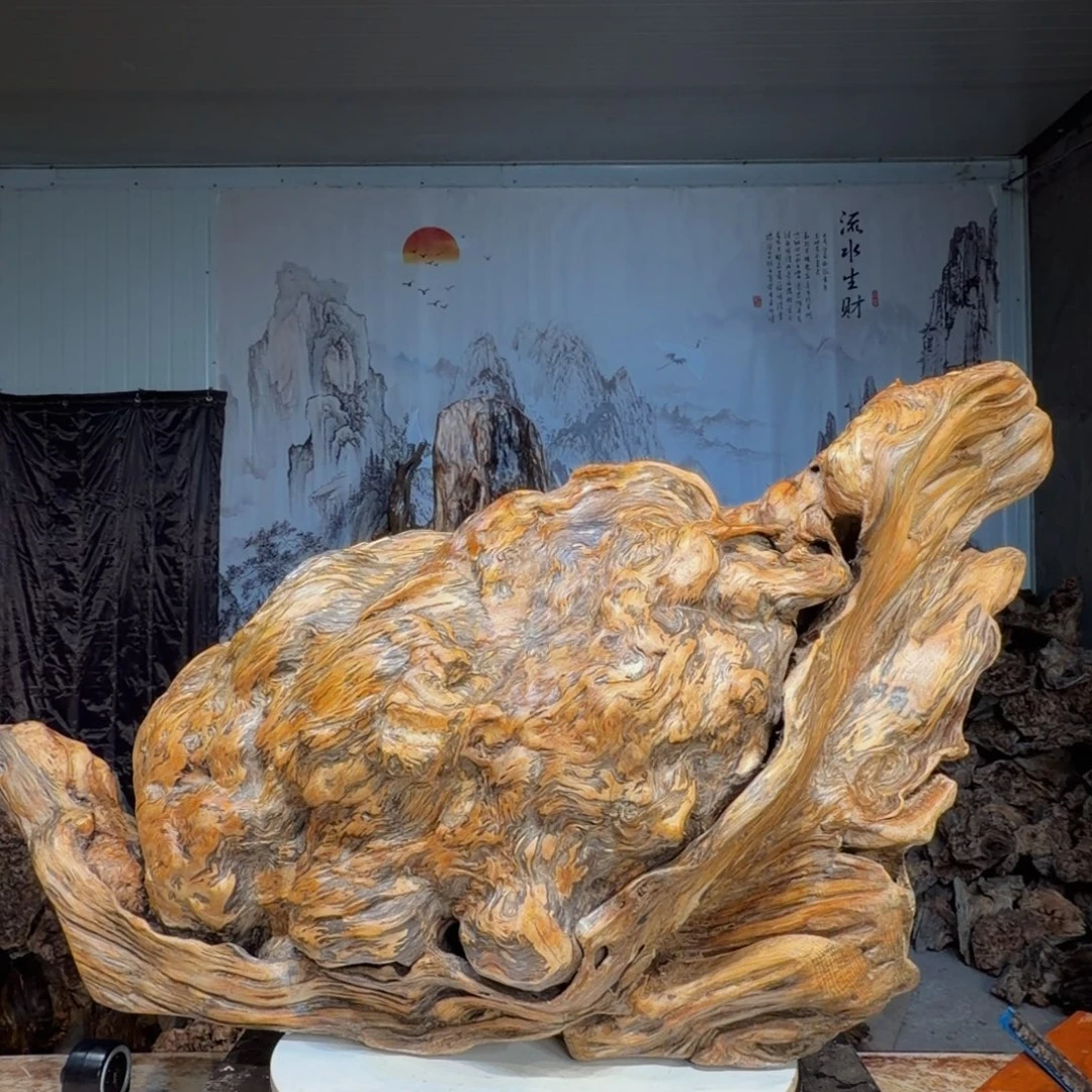 简***生木三丰琥珀木 天然龙白菜36