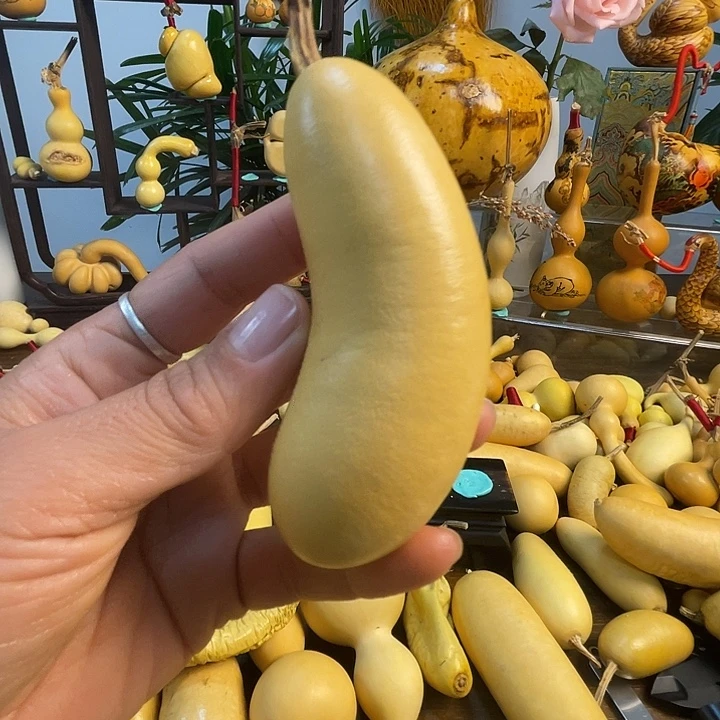 老***长藤手把葫芦精品系列11