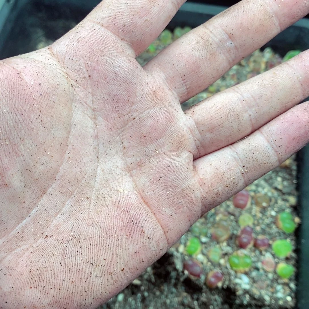 -*我的小姐姐们都是我的小可爱们6408