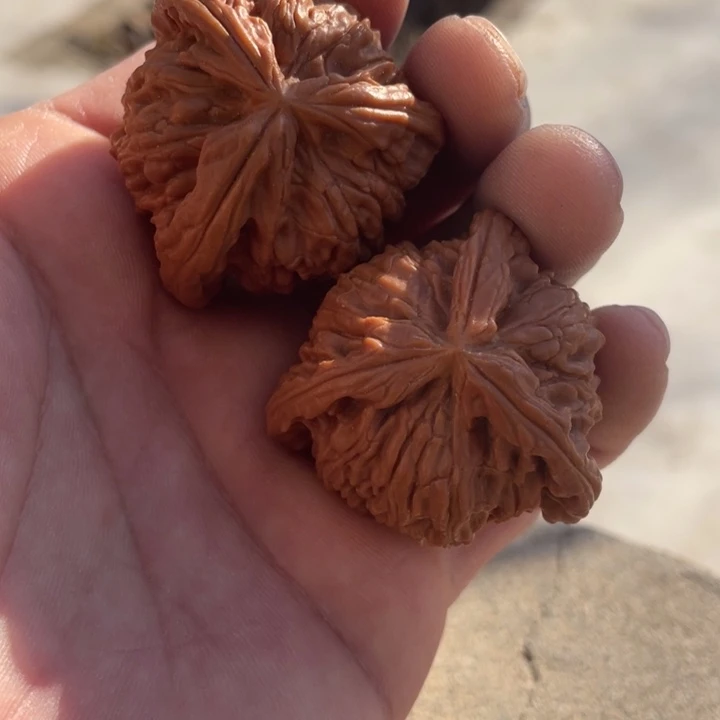 y***f文玩核桃吊坠三棱三棱三棱三棱