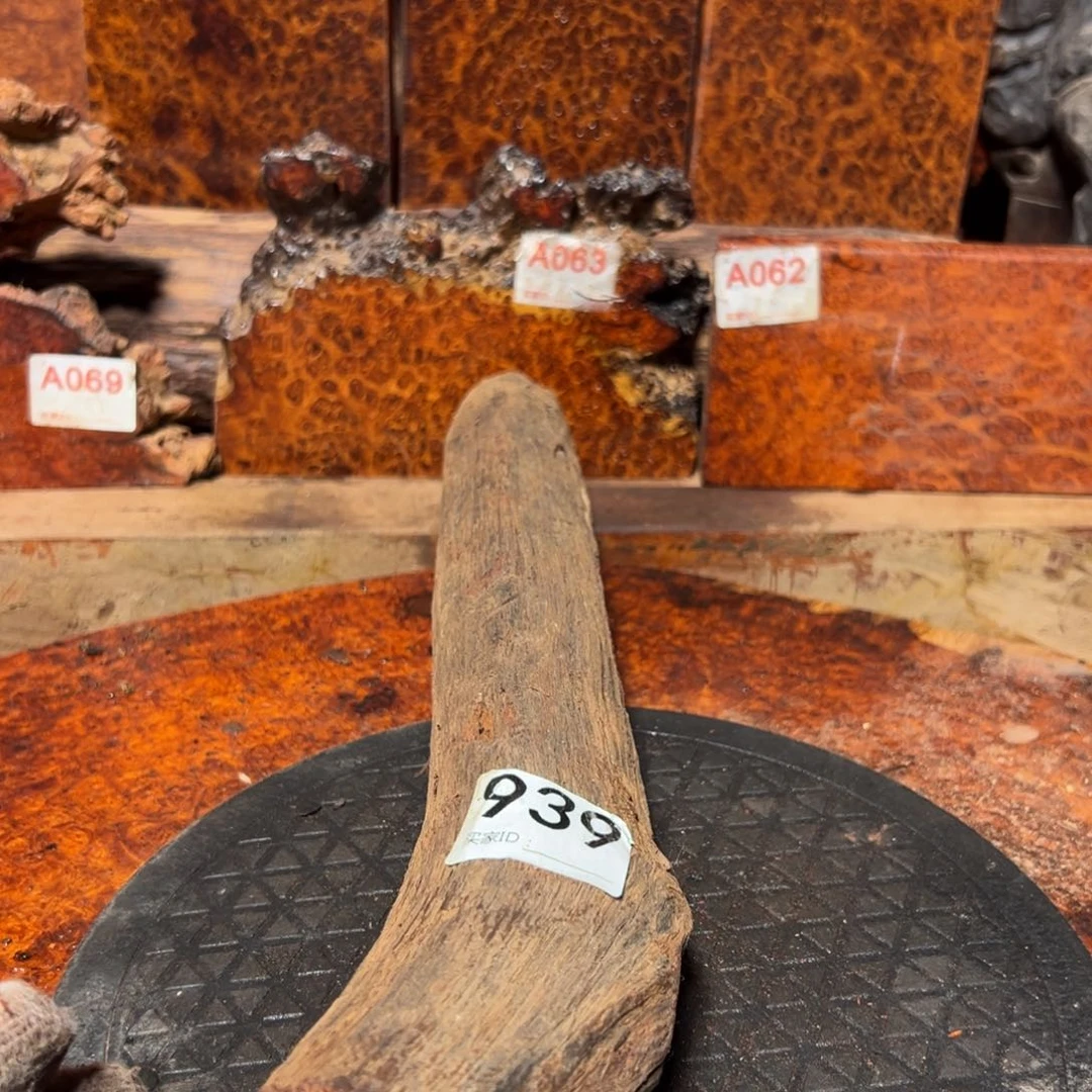 大果紫檀（缅甸花梨）