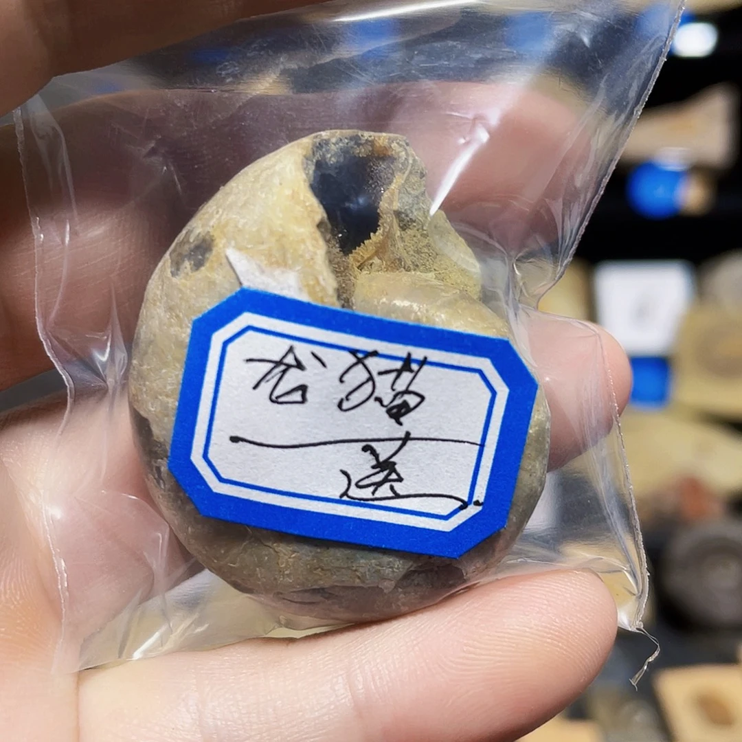 龙猫姐最漂亮节日快乐