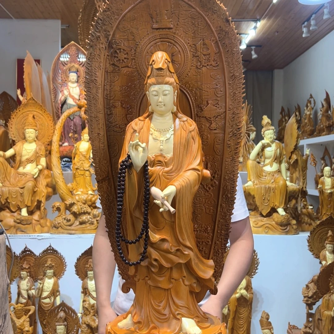 立***秋香樟木全国包邮 请贵包退