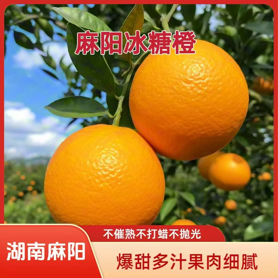 【冰糖橙】湖南麻阳冰糖橙9甜1酸口感当季水果产地直发手剥爆甜多汁