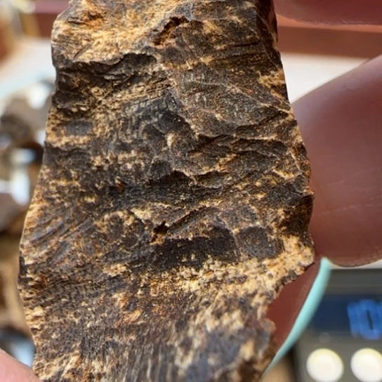 沉香摆件海南沉水尖峰岭1克