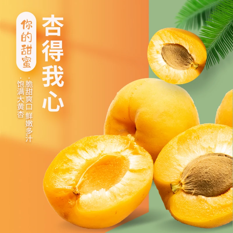 山东沂蒙山 珍珠油杏 当天现摘 现发 脆甜多汁1-4斤次日达