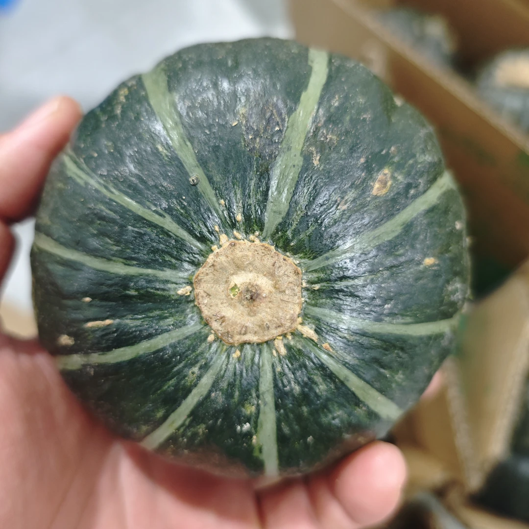 贝贝南瓜4.5斤净重 合肥万科物业助农福利