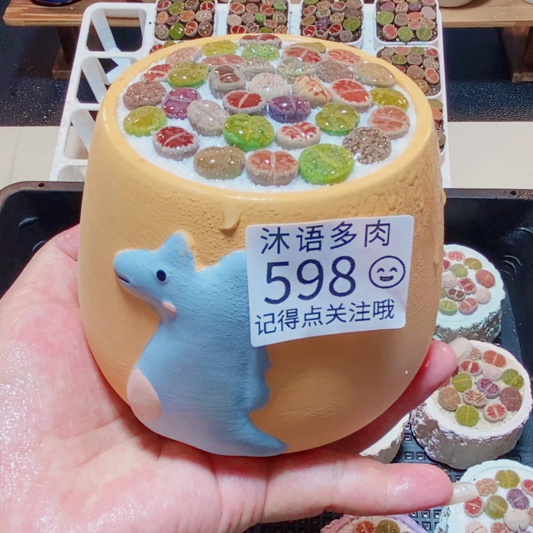 一物一拍 所见即所得598