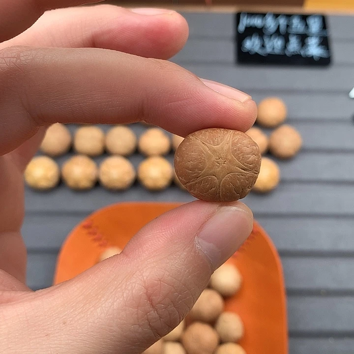 吊坠凤眼菩提20+五星，非质量问题开孔不退