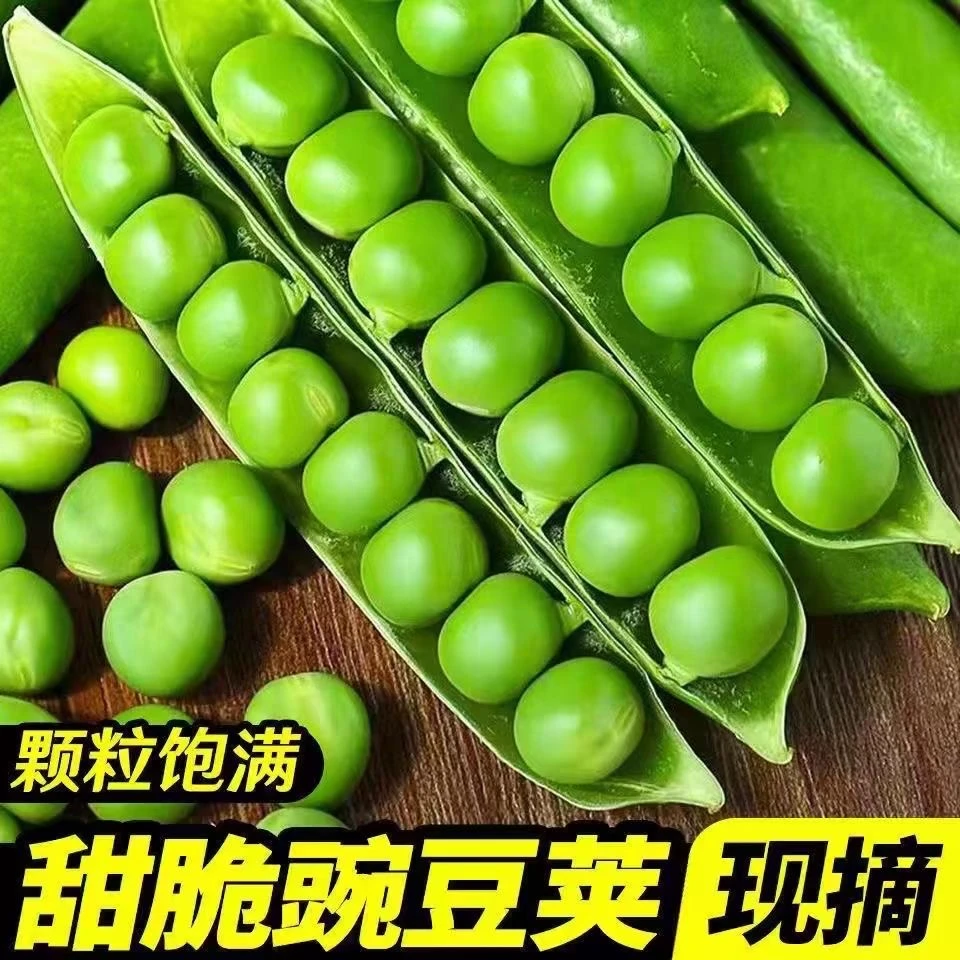 云南甜脆豌豆现摘豌豆荚带壳当季新鲜青豆应季一整箱3斤/4.5斤