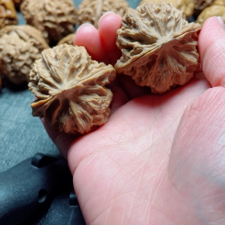 …***…苹果园全品无修43