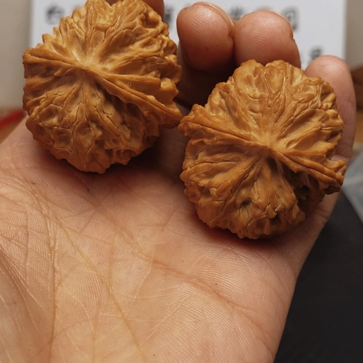 核桃39+尺苹果园一对