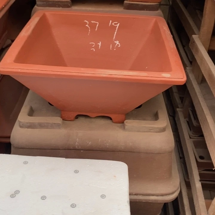 紫砂花盆只顾看手机和