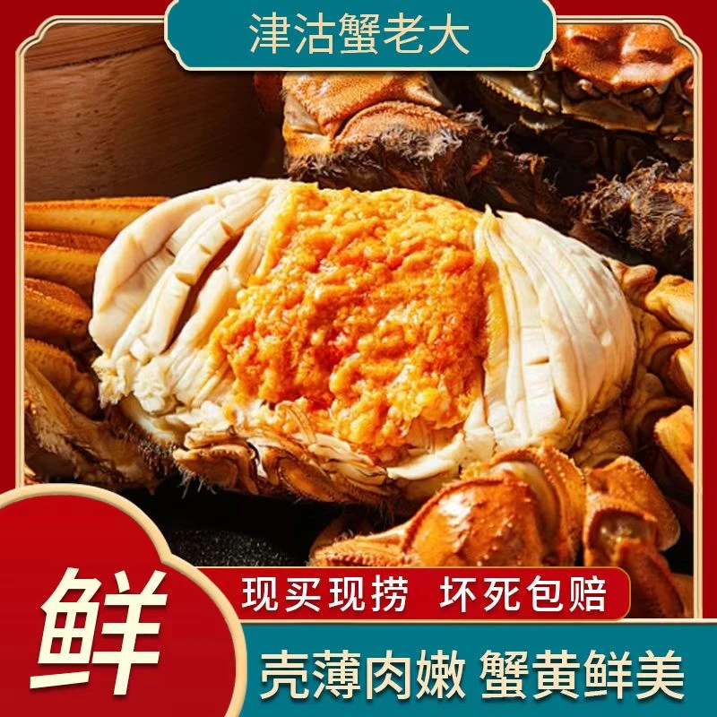 【活蟹】 金标 大闸蟹 公蟹3.2-3两/只  母蟹 2.2-2两/只
