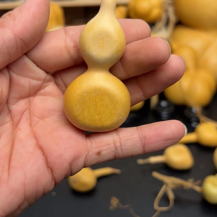 钓***菜1555556666558888999