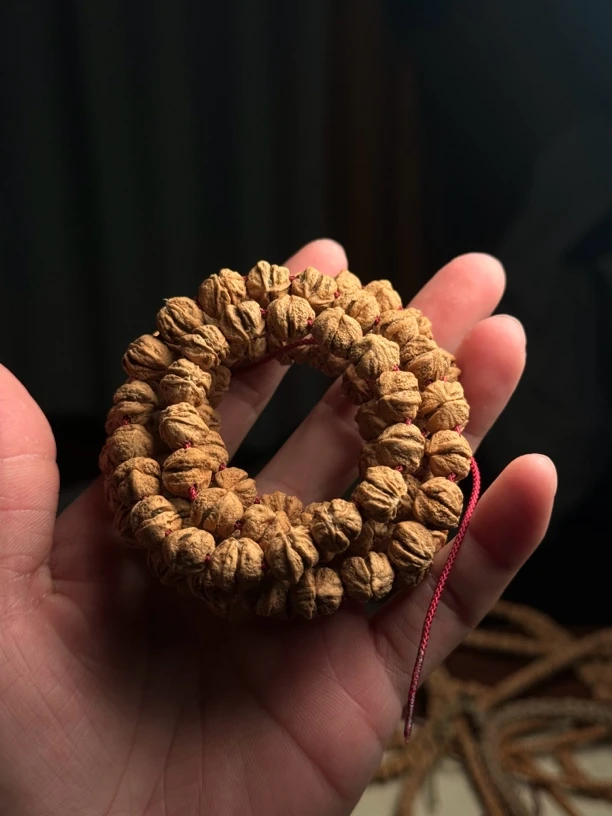 柏香籽异形双胞胎大尺寸9左右