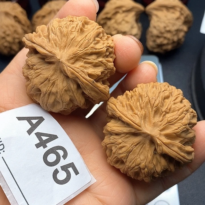 核桃苹果园4.3，，。