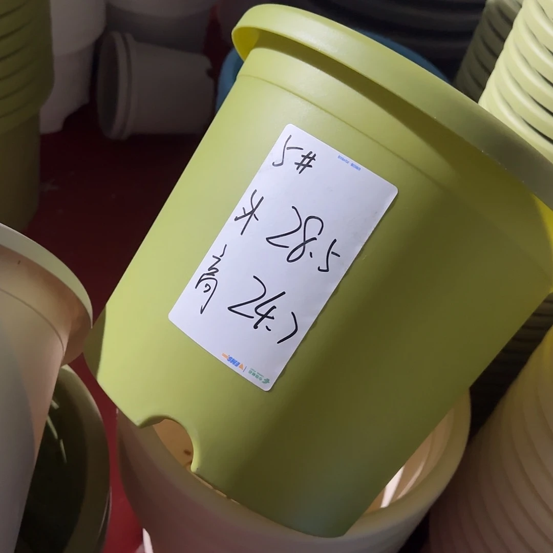树脂四季3号带托2白色3个果绿，4号2个白色3个果绿带托