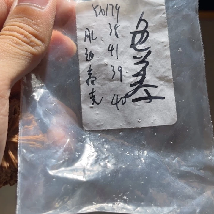 弓***张吊坠文玩核桃核桃yx176