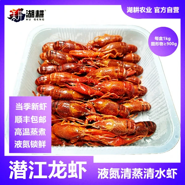 潜江龙虾【湖耕】液氮清蒸清水虾 整虾 无冰小龙虾 活虾制作