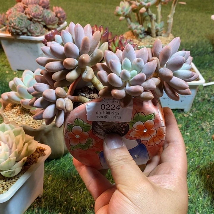 0224啊啊啊啊啊啊啊啊啊啊