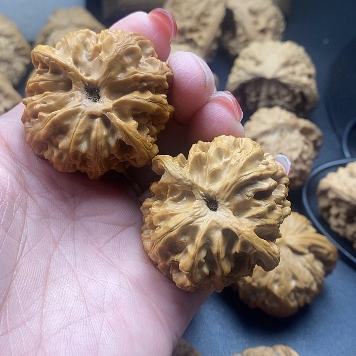 龙脊菩提吊坠萍果园43加