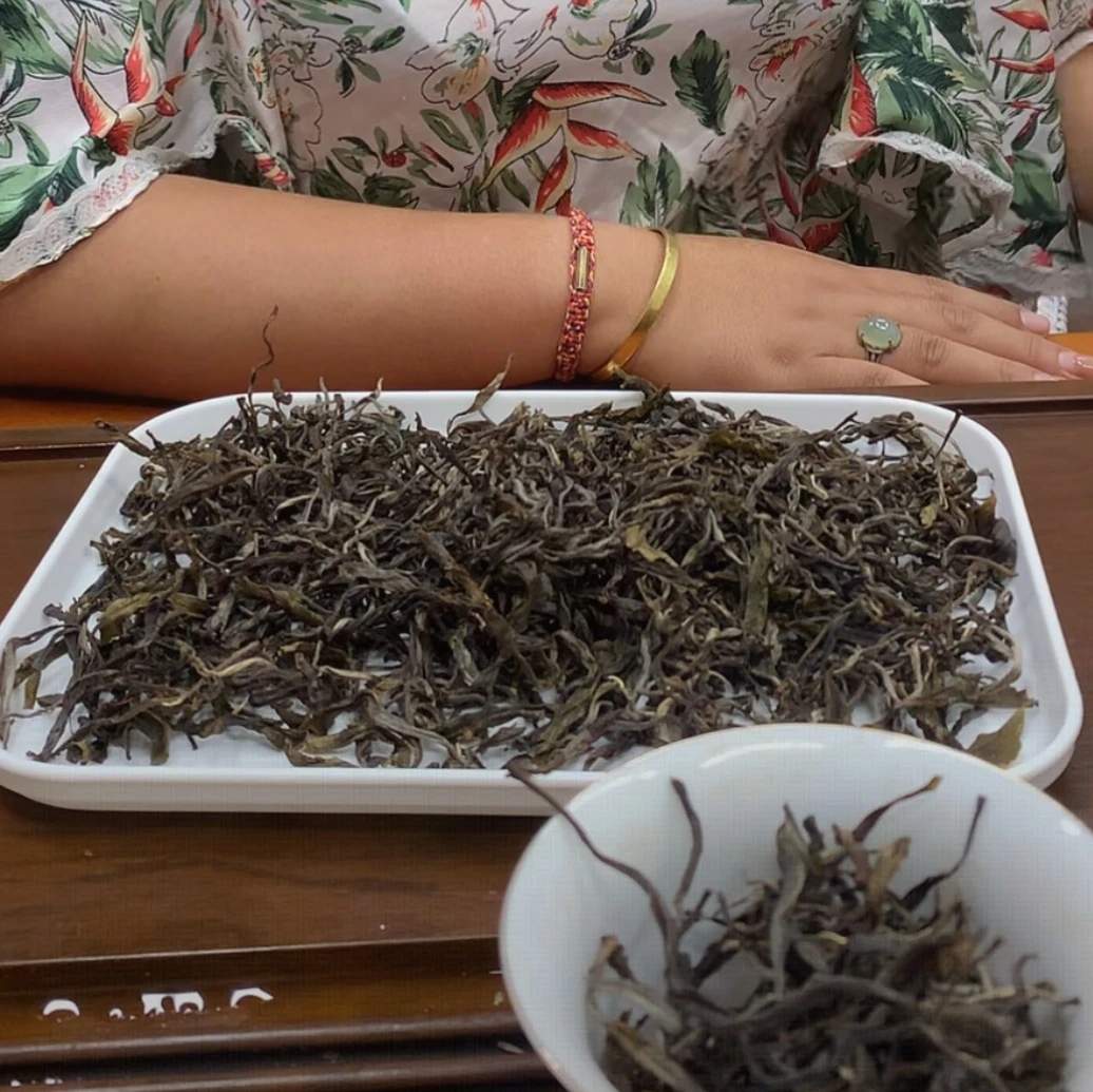 2025落水洞单株 古树普洱茶  生茶散茶100克（带茶样）