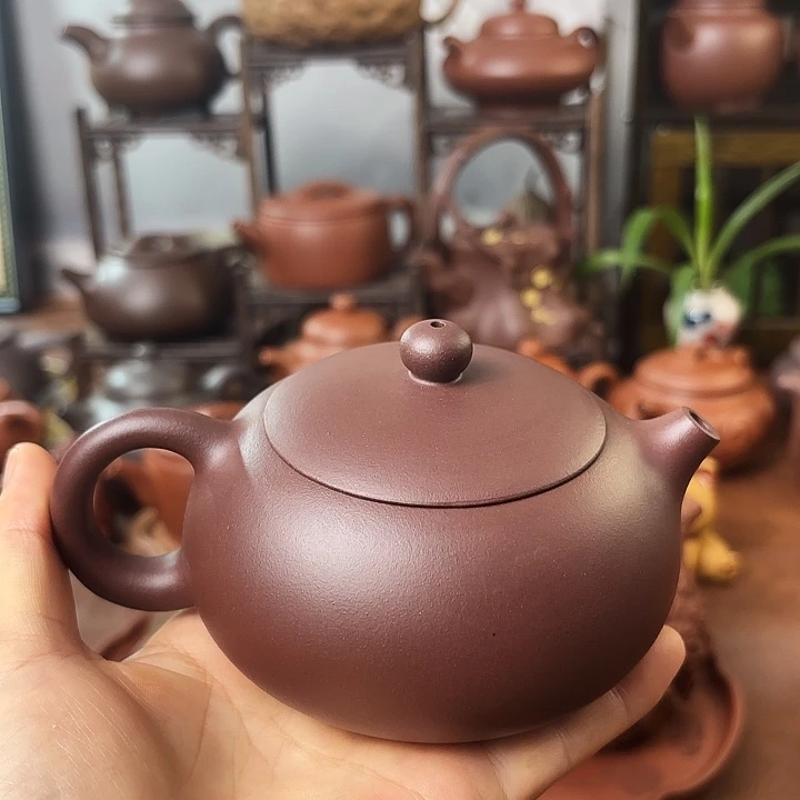 茶壶紫砂西施 紫泥