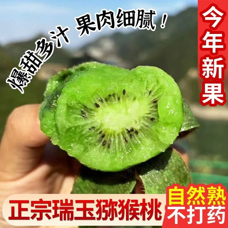 陕西周至瑞玉猕猴桃当季新鲜水果香陕西周至瑞玉猕猴桃原产地直销