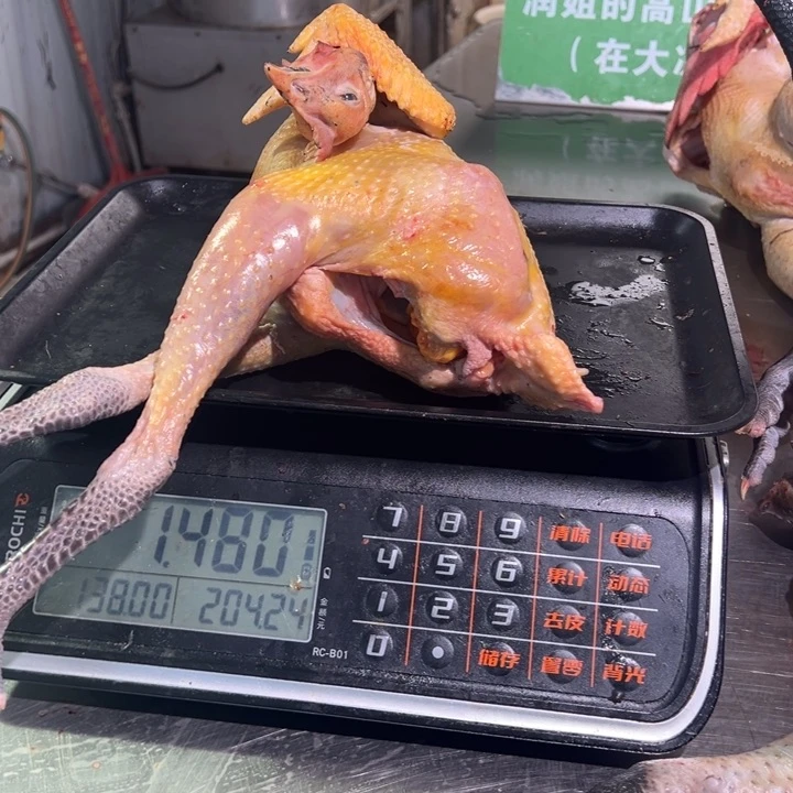 一号母鸡食用农产品中国大陆小*?