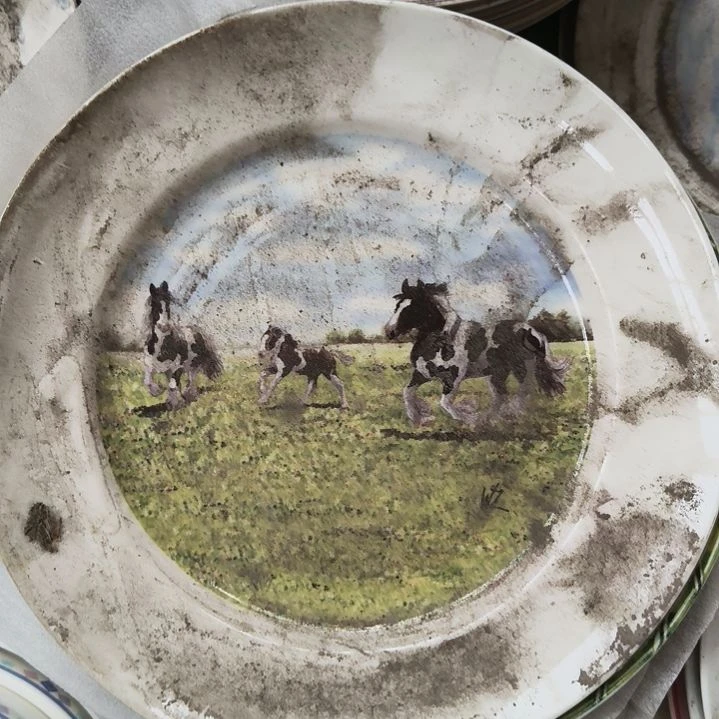 老***米两块盘子！！！！！！！！